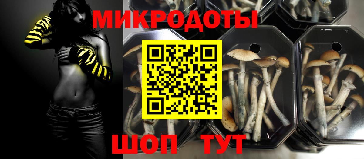 Лабинск  Псилоцибиновые грибы GOLDEN TEACHER  цены   Вход с VPN 